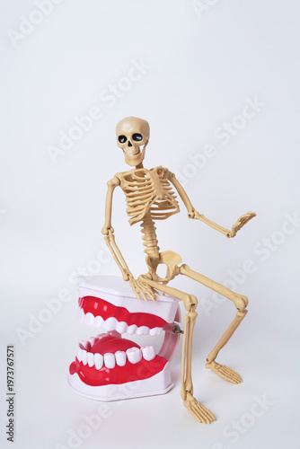 Playful Skeleton with Giant Chattering Teeth Figurine in a Light Background Setting