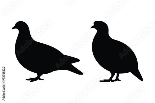 Two silhouette pigeons facing opposite directions