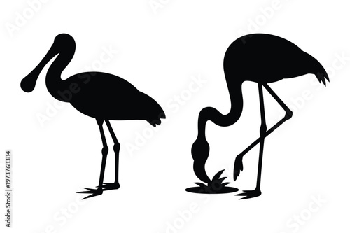 Photos Flamingo and spoonbill bird silhouettes