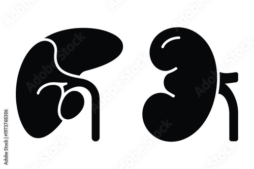 Human kidney organ icons
