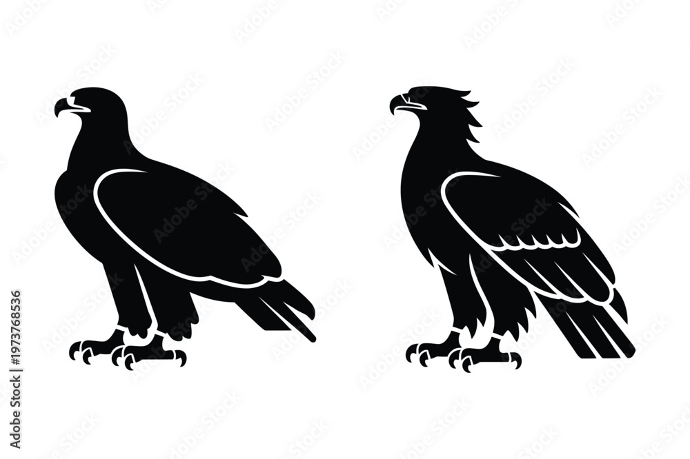 Fototapeta premium Eagle vector illustration in solid and outline with eagle silhouette