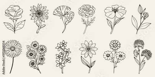 Fotografía Botanical floral arrangement with various blooms in a dark silhouette
