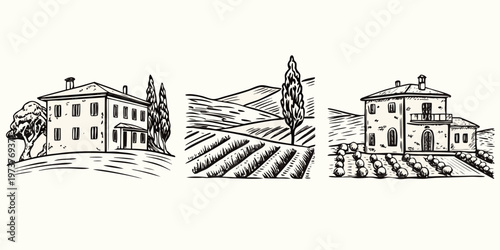 Tuscan countryside landscape featuring villas and cypress trees silhouette