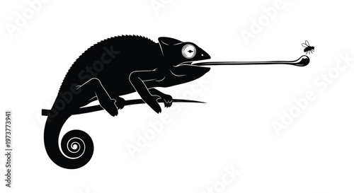 Chameleon catching fly with long tongue black silhouette design