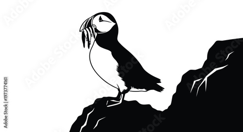 Puffin bird standing on rocky cliff with fish in mouth silhouette
