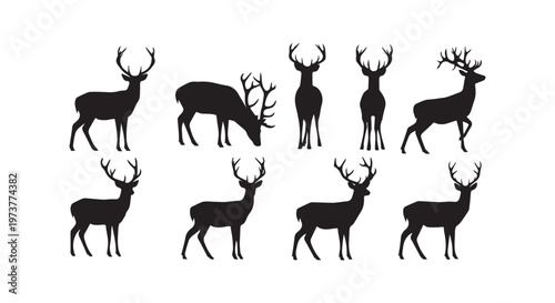 A playful assembly of various feline species in a simple black and white illustration style