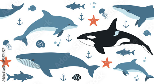 Diverse collection of marine life illustrations including whales dolphins sharks jellyfish and starfish in the deep sea.