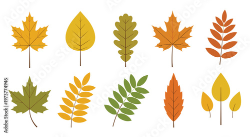 Selection of different autumn leaves in vibrant shades of yellow orange green and brown representing the fall season.