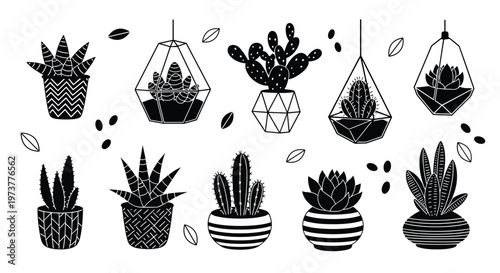 Assortment of black and white hand drawn cacti and succulents are shown in various decorative pots and terrariums.