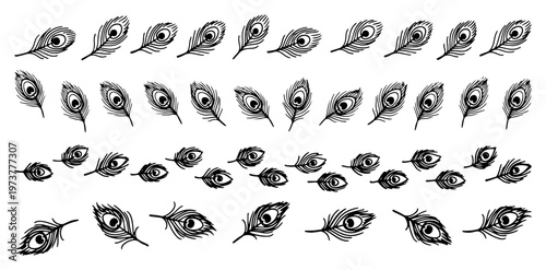 Peacock feather borders and rows for traditional indian design in hand drawn sketch style