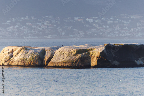 Granite boulders and turquoise ocean at Boulders Beach near Cape Town, South Africa
