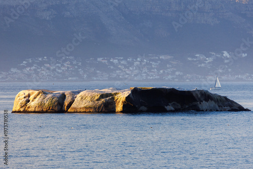 Granite boulders and turquoise ocean at Boulders Beach near Cape Town, South Africa
