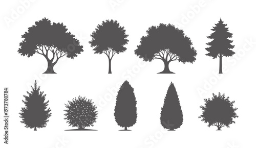Collection of dark grey tree silhouettes white nature plant foliage