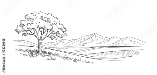 Hand drawn of a solitary tree a grassy hill overlooking a vast landscape with mountains