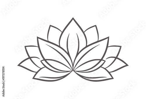 Stylized grey outline of a blooming lotus flower white petal