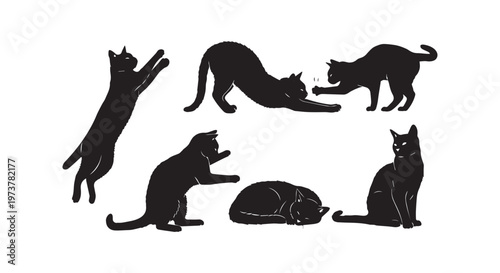 Symbolic representation of animal diversity and evolution in a minimalist black and white illustration