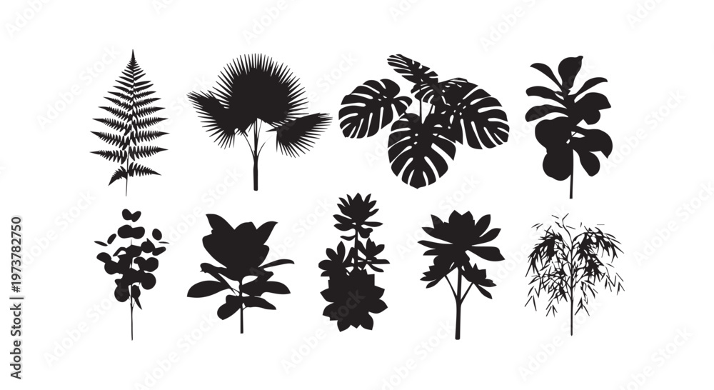 Fototapeta premium Elegant floral patterns showcasing ornate floral designs in black and white ink art