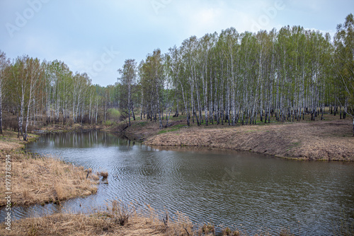 Tableau sur toile Serene river landscape with birch trees lining the banks and grassy areas under