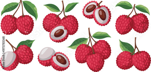 Large collection of fresh red lychee fruit vectors featuring whole bunches with green leaves and peeled halves showing white pulp and seeds.