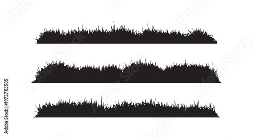 Detailed analysis of the unique and abstract art composition with organic shapes and textures in black and white