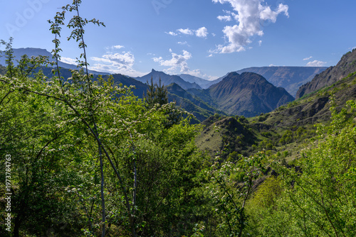 Scenic mountain valley with lush green vegetation under a bright blue sky. Dagestan Russia.