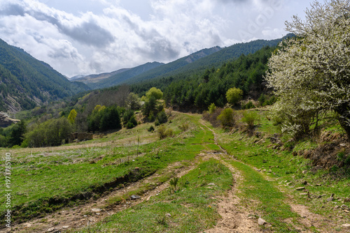 Scenic View of a Mountain Road in a Green Valley. Dagestan Russia.