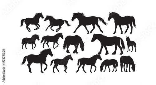 A herd of black cows grazing peacefully in a lush green field under the open sky