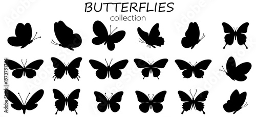 butterflies Flying silhouette black set, Flaying butterflies vector collection isolated on white background. Use for graphic design, web and mobile app.