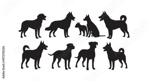 A dynamic herd of black horses galloping together in a powerful display of strength and unity