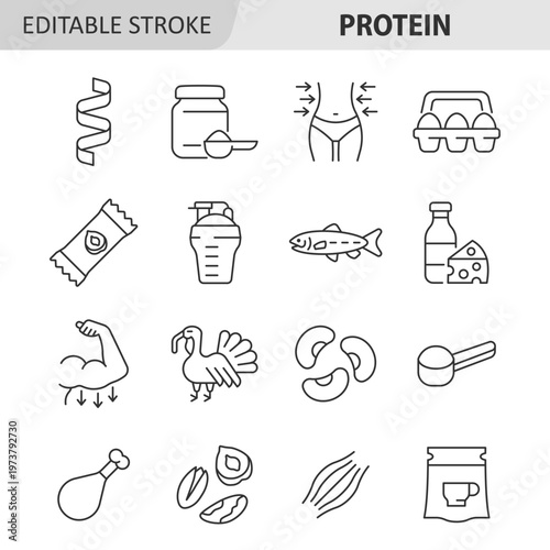 Protein line icon set. Linear symbols of healthy food, bodybuilding supplements with egg, salmon, milk, cheese, muscles, turkey, beans, nut. Editable stroke. Vector illustration.