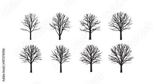 Elegant botanical illustrations showcasing diverse plant species and their unique floral structures