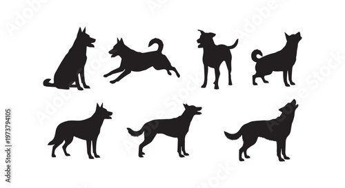 Exploring the diverse world of wild and domestic equines through artistic silhouettes