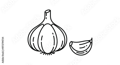 Garlic bulb and a separate clove in a clean black and white line art vector illustration for culinary or healthy food design projects.