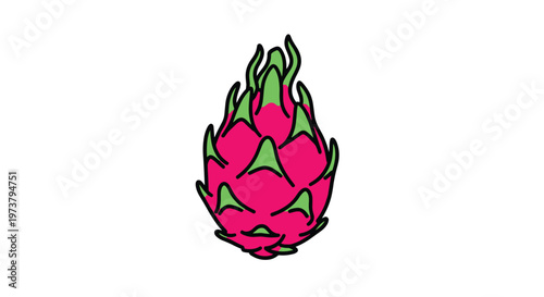 Dragon fruit or pitaya whole fruit in a vibrant pink and green color vector illustration isolated on a white background for food themes.