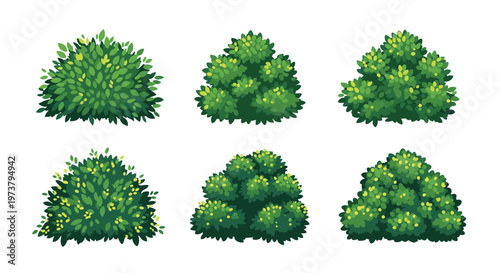 Collection of various green bushes and garden shrubs illustrated in a soft painterly style for landscape design elements.