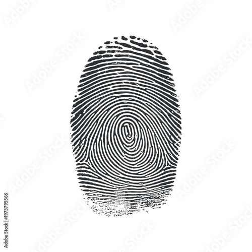 Detailed black fingerprint illustration on white background, unique vector graphic design