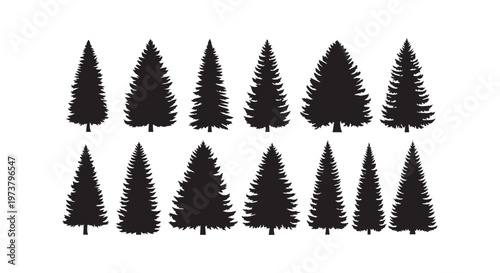 Sharp kitchen knives arranged in a neat row for culinary precision and efficiency