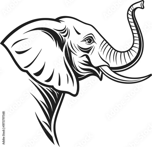 A black and white illustration of an elephant's head and trunk profile