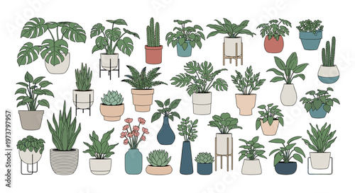 Extensive collection of various indoor houseplants and succulents in diverse decorative pots for interior design inspiration.