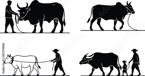Silhouette illustration of people leading oxen with ropes, symbolizing farming, livestock guidance, rural cooperation, agriculture tradition, and cultural lifestyle