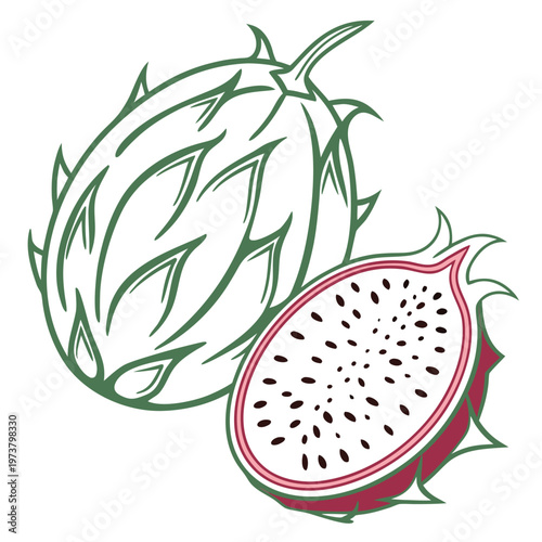 dragon fruit silhouette on white background