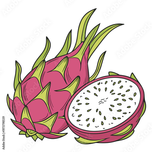 dragon fruit colorful on white background