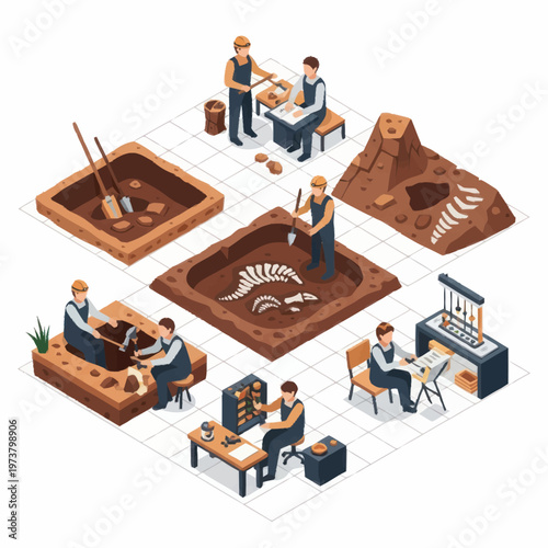 People working with dinosaur fossils excavation.