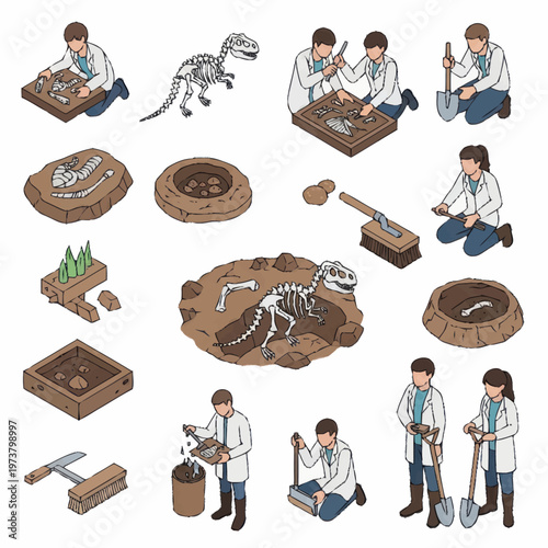 People working with dinosaur fossils excavation.