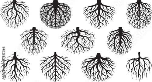 0001_1_a-collection-of-10-black-and-white-root-_3fWCfJUQTquwOU1rFosEbg_K1hdi8xqRKOCwjNV-t4mnA_cover_traced