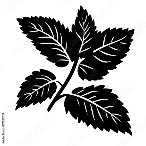 vector Mint leaf silhouette black on white background simple shapes svg vector graphic