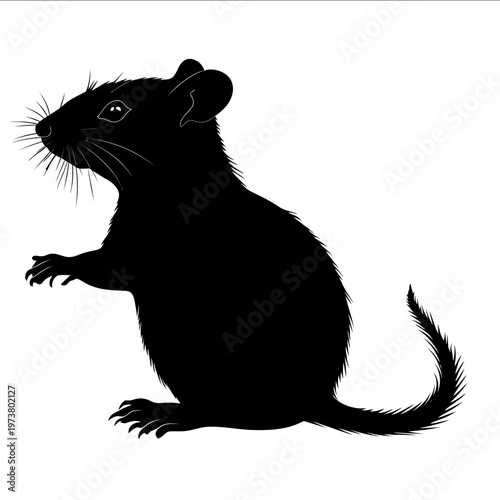 black silhouette mammal on a white backgrounk vector