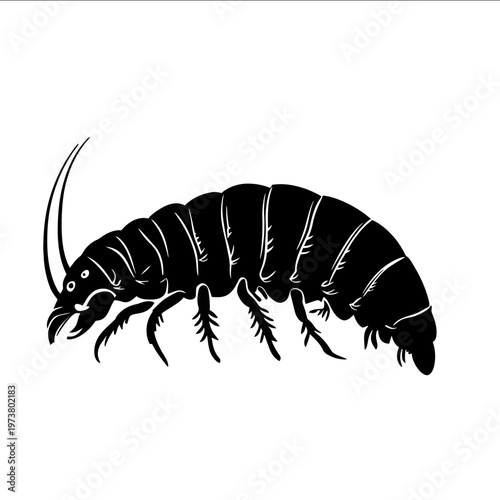 black silhouette isopod on a white backgrounk vector