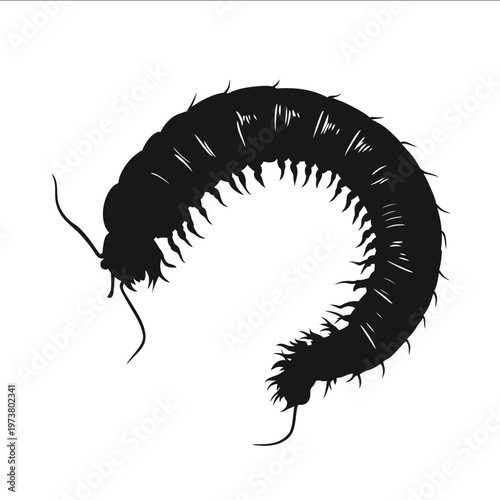 black silhouette mealworm on a white backgrounk vector