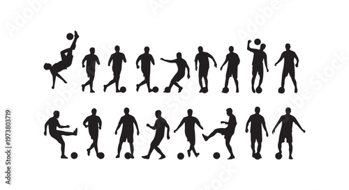 A collection of various animal footprints and tracks on a surface, including birds, foxes, and domestic pets